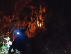 Lahan Bambu di Samping Rumah Warga Air Putih Lama Terbakar, Damkar Bergerak Cepat
